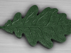 oak leaf 3D Model