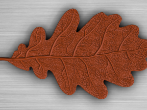 oak leaf 3D Model