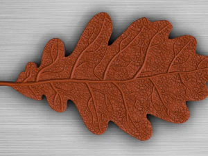 oak leaf 3D Model