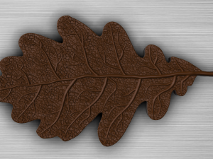 oak leaf 3D Model