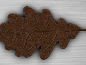 oak leaf 3D Model