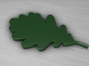 oak leaf 3D Model
