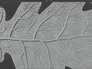 oak leaf 3D Model
