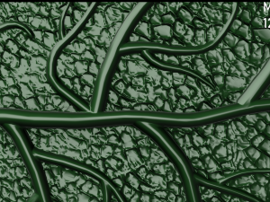 oak leaf 3D Model