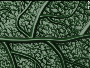 oak leaf 3D Model