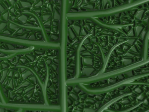 chestnut leaf 3D Model