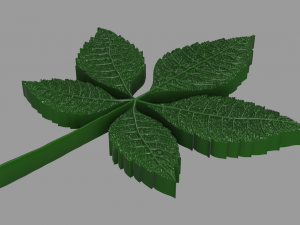 chestnut leaf 3D Модель