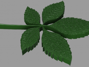 chestnut leaf 3D Модель