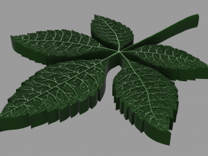 chestnut leaf 3D Модель