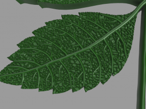 chestnut leaf 3D Модель