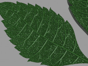 chestnut leaf 3D Модель