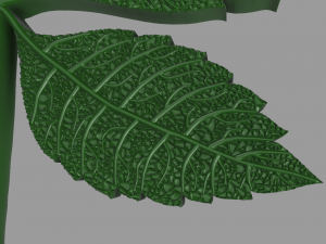 chestnut leaf 3D Модель