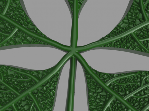 chestnut leaf 3D Модель