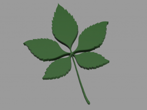 chestnut leaf 3D Модель