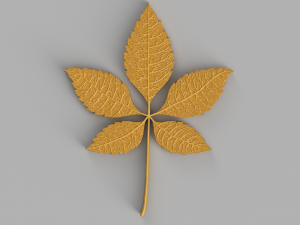 chestnut leaf 3D Модель
