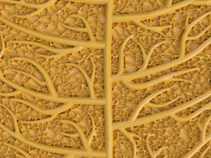 chestnut leaf 3D Модель