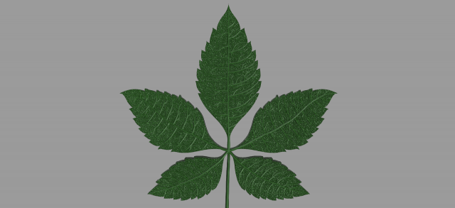 chestnut leaf 3D Модель .c4d .max .obj .3ds .fbx .stl .blend 