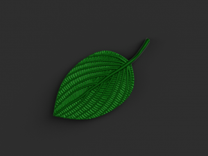 green leaf 3D Model