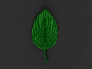 green leaf 3D Model