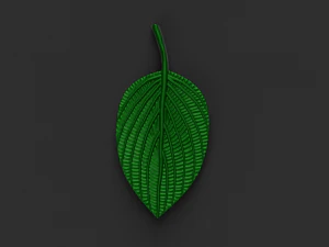 green leaf 3D Model