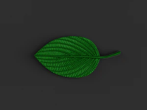 green leaf 3D Model