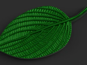 green leaf 3D Model