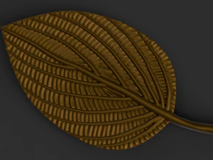 green leaf 3D Model