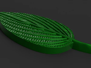 green leaf 3D Model