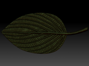 green leaf 3D 모델