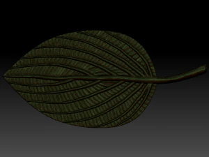 green leaf 3D Model