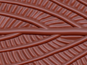 green leaf 3D 모델