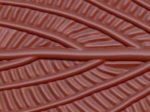 green leaf 3D Model