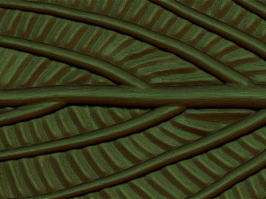 green leaf 3D 모델