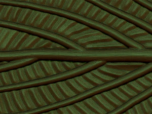 green leaf 3D Model