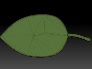 green leaf 3D 모델