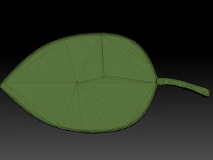 green leaf 3D Model