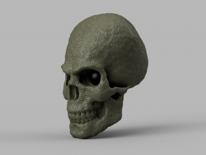alien skull 3D 模型