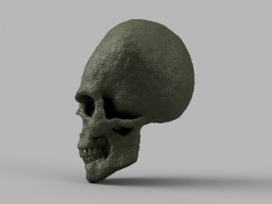 alien skull 3D 模型