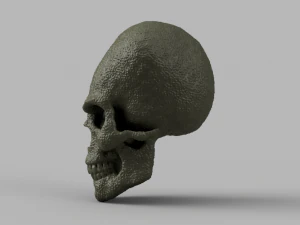 alien skull 3D Model