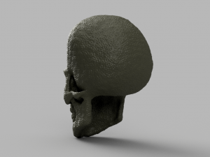 alien skull 3D 模型
