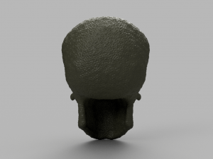 alien skull 3D 模型