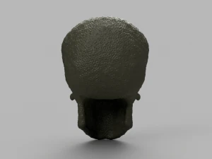 alien skull 3D Model