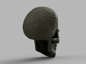 alien skull 3D 模型