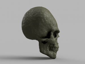 alien skull 3D 模型