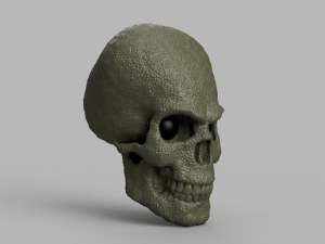 alien skull 3D 模型