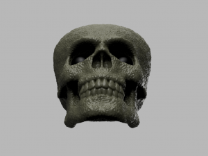 alien skull 3D 模型