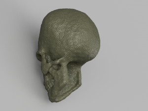 alien skull 3D 模型