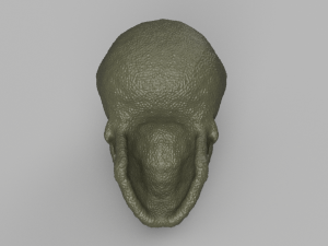 alien skull 3D 模型
