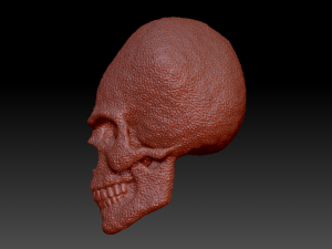 alien skull 3D 模型