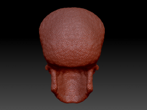 alien skull 3D 模型